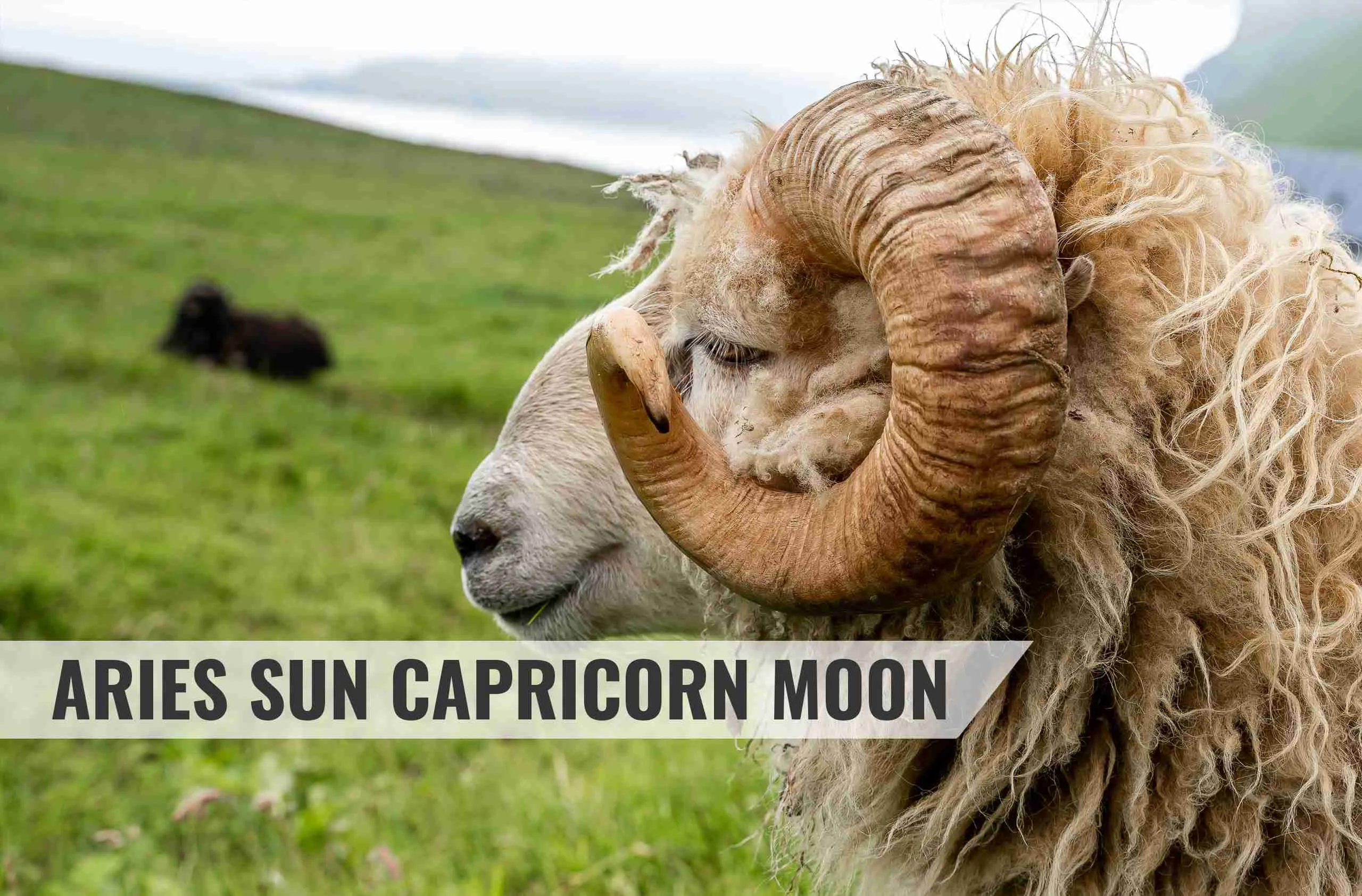 Aries Sun Capricorn Moon