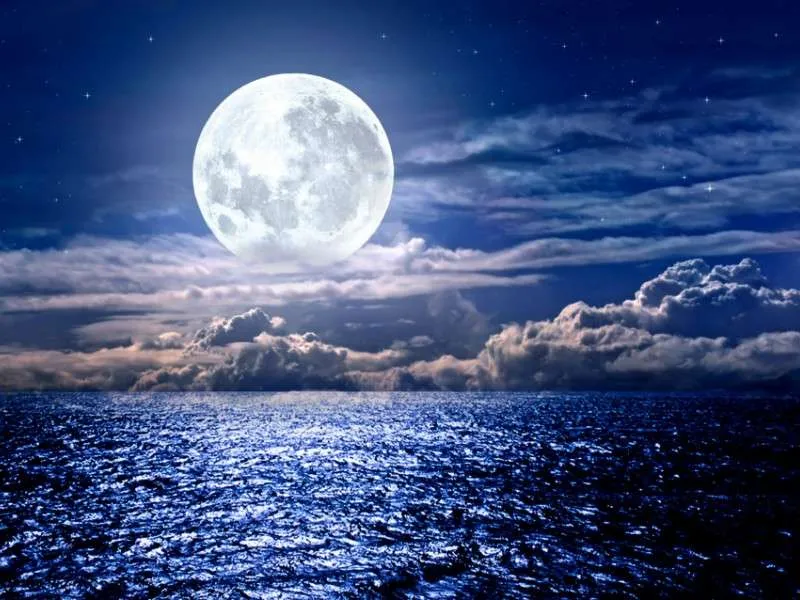 Leo Sun Pisces Moon Capricorn Rising