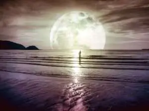 Leo Sun Pisces Moon Libra Rising